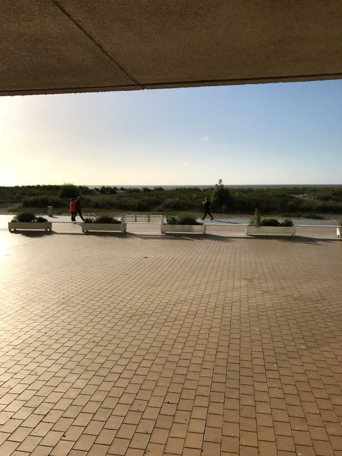 Zandduin Nieuwpoort Bagian luar foto